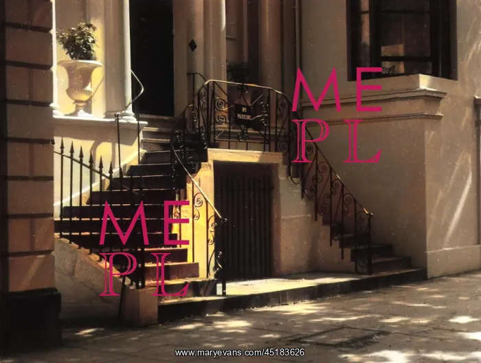 : REGENCY STEPS : REGENCY STEPS