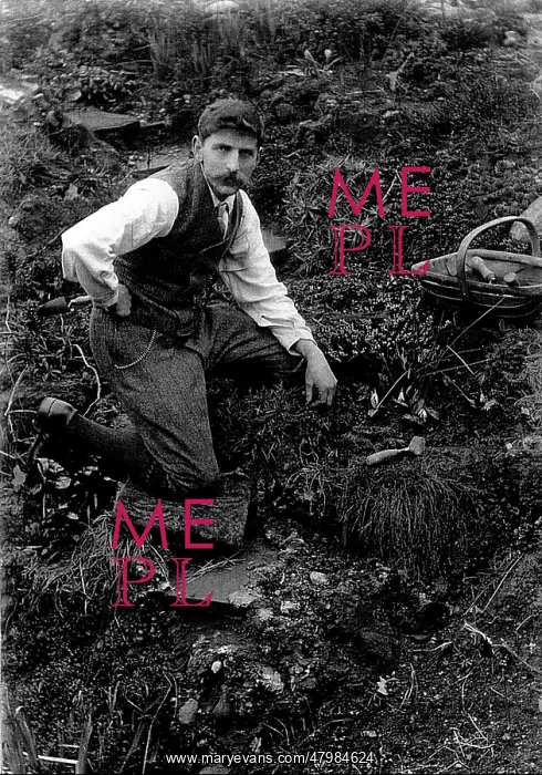 : Reginald Malby working in his garden : Reginald Malby working in his garden