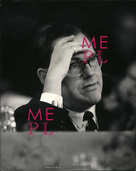 : Reginald Maudling at party conference, Brighton : Reginald Maudling at party conference, Brighton