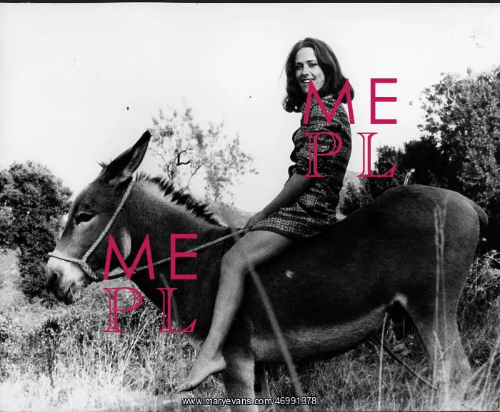 : Regine Ginestet : Regine Ginestet