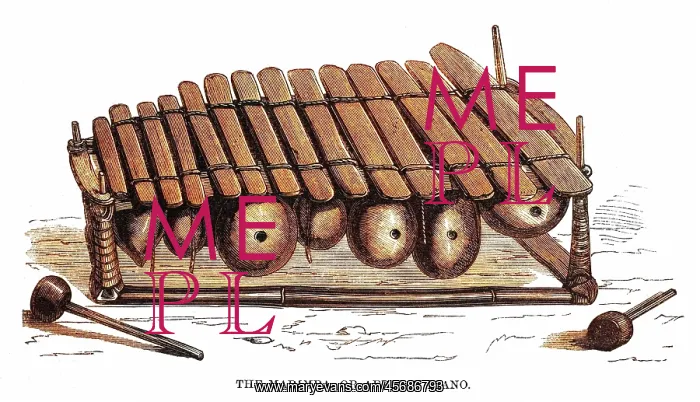  : Regional African music: the marimba