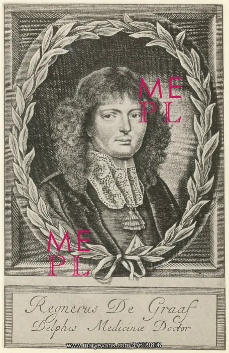 : REGNER DE GRAAF : REGNER DE GRAAF