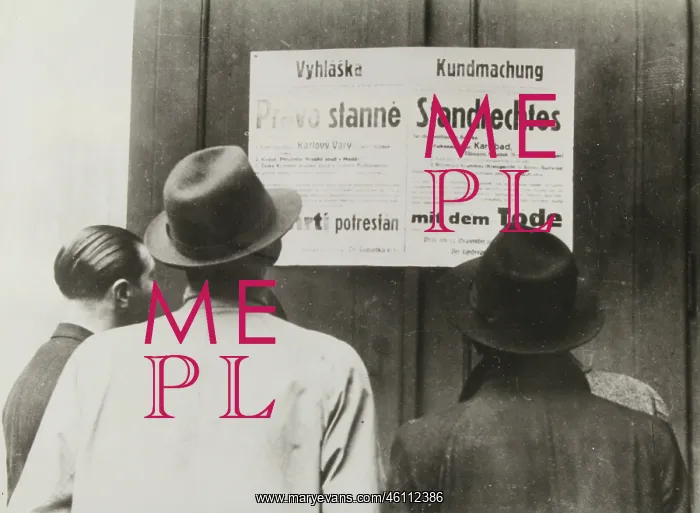 : Regulation of the summary execution : Regulation of the summary execution