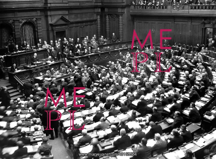 : Reichstag at the adoption of the Young Plan, 1930 : Reichstag at the adoption of the Young Plan, 1930