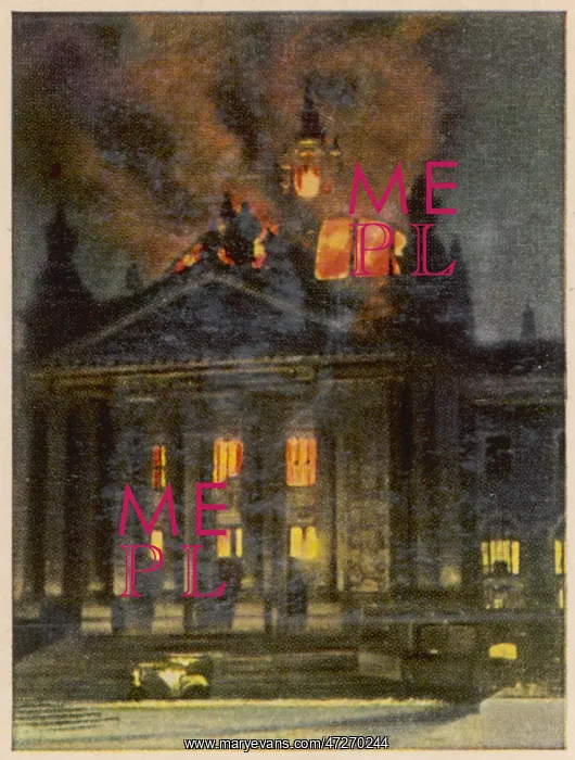 : REICHSTAG FIRE 1933 : REICHSTAG FIRE 1933