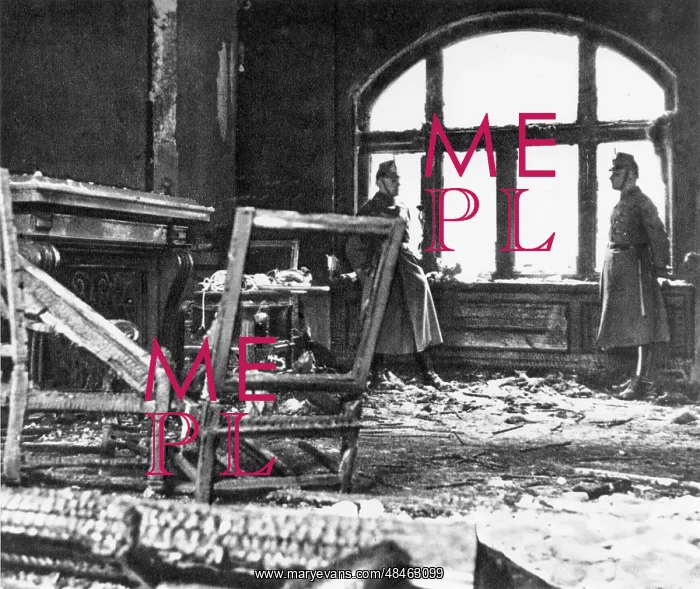 : REICHSTAG FIRE 1933 : REICHSTAG FIRE 1933
