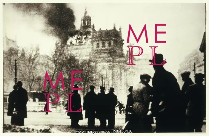 : REICHSTAG FIRE 1933 : REICHSTAG FIRE 1933