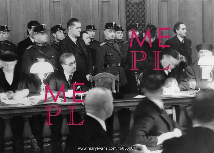 : The Reichstag Fire Trial : The Reichstag Fire Trial