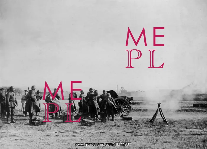 : Reichswehr artillery in position, 1921 : Reichswehr artillery in position, 1921