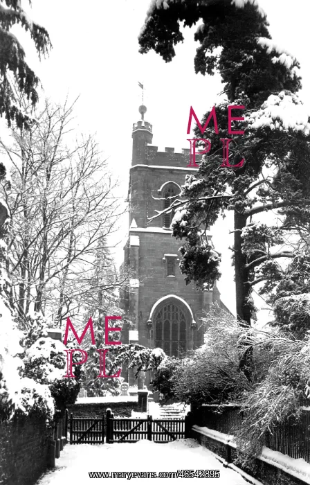  : Reigate, Church from Walk 1890