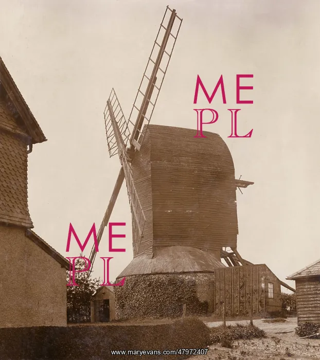 : Reigate Heath Windmill : Reigate Heath Windmill