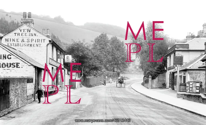  : Reigate, Hill, the Yew Tree Inn 1911