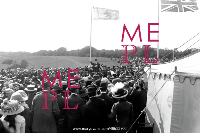  : Reigate, the Pageant c1920