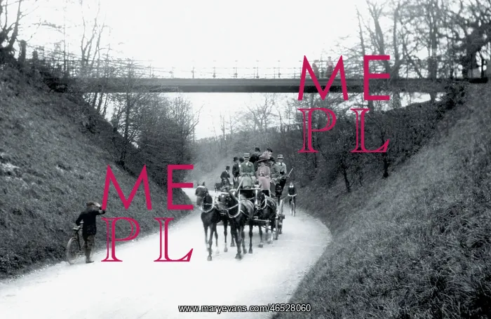  : Reigate, Suspension Bridge c1908