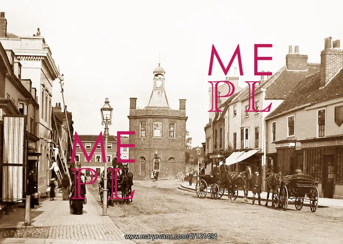  : Reigate Victorian period