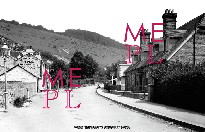  : Reigate, the Yew Tree Inn 1890