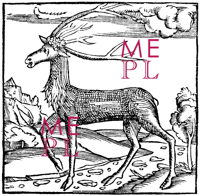 : REINDEER 1553 : REINDEER 1553
