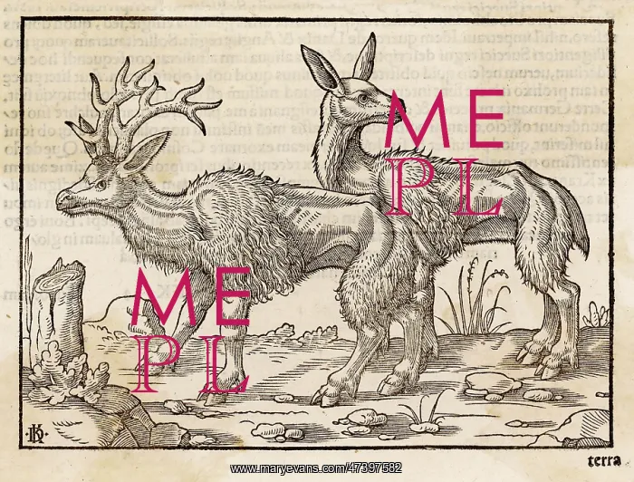 : REINDEER 1553 : REINDEER 1553