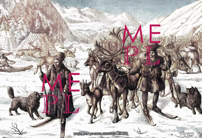 : REINDEER 1878 : REINDEER 1878