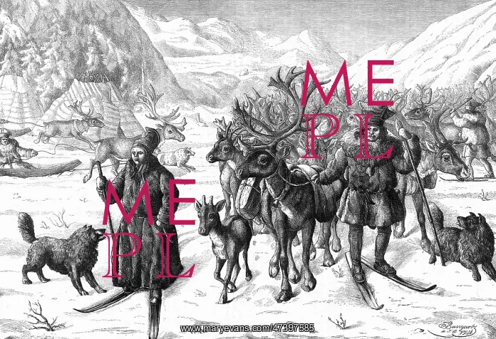 : REINDEER 1878 : REINDEER 1878