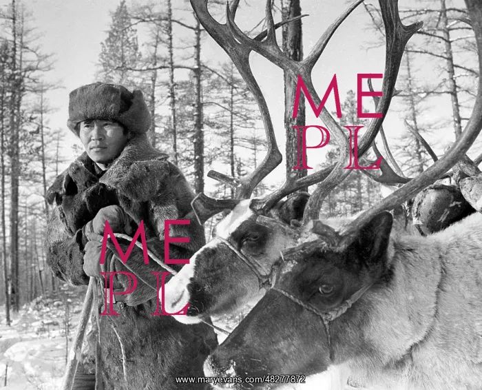 : Reindeer breeder, 1976 : Reindeer breeder, 1976