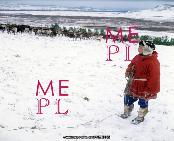 : Reindeer breeder, 1980 : Reindeer breeder, 1980
