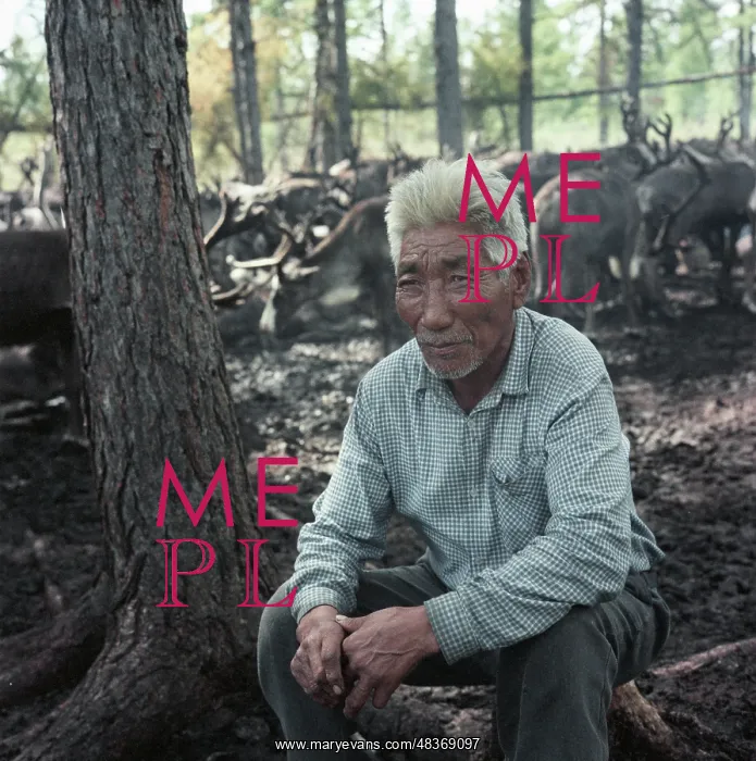 : Reindeer Breeder Alexei Vasilyev : Reindeer Breeder Alexei Vasilyev