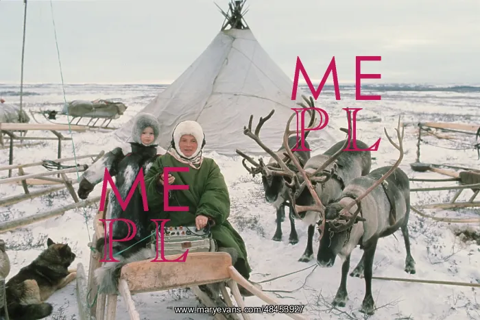 : Reindeer breeding, 1978 : Reindeer breeding, 1978