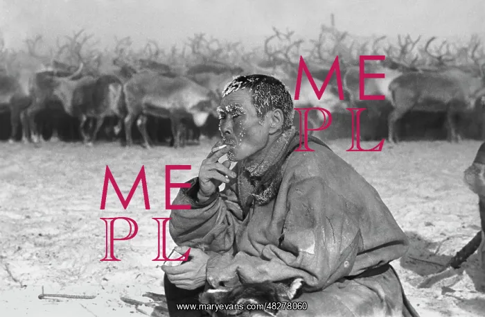 : Reindeer herder : Reindeer herder