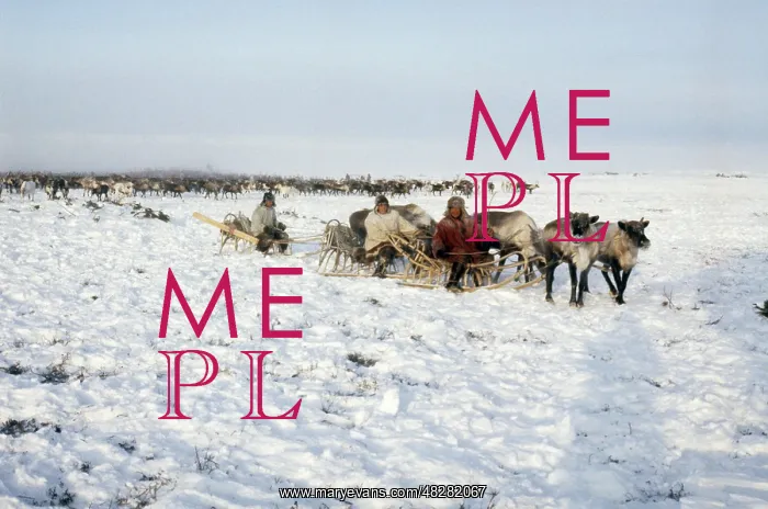 : Reindeer herders, 1984 : Reindeer herders, 1984