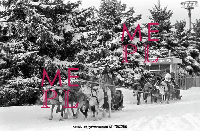 : Reindeer riding, 1982 : Reindeer riding, 1982