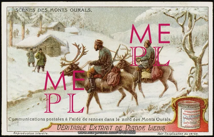 : REINDEER USED FOR MAIL : REINDEER USED FOR MAIL