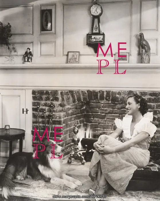  : Relaxing in front of the fireplace with her collie