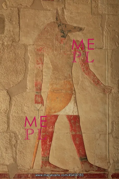 : Relief, Anubis shrine, Temple of Hatshepsut : Relief, Anubis shrine, Temple of Hatshepsut