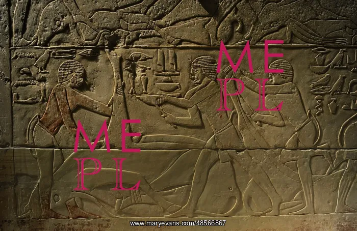 : Relief depicting a butchering scene. Egypt : Relief depicting a butchering scene. Egypt