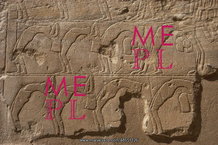 : Relief depicting a group of dancers : Relief depicting a group of dancers