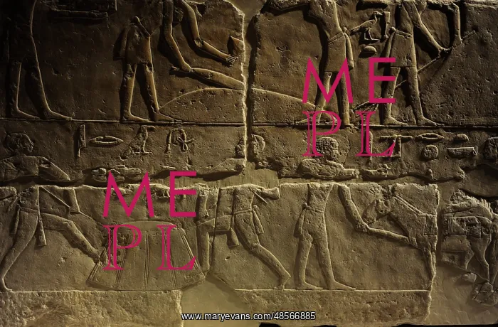 : Relief depicting a phases of harvesting. Egypt : Relief depicting a phases of harvesting. Egypt