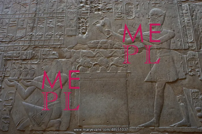  : Relief depicting a religious offering