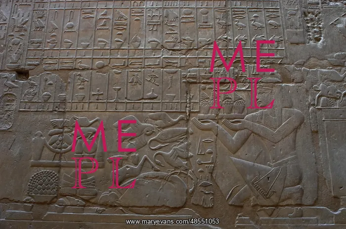 : Relief depicting a religious offering : Relief depicting a religious offering