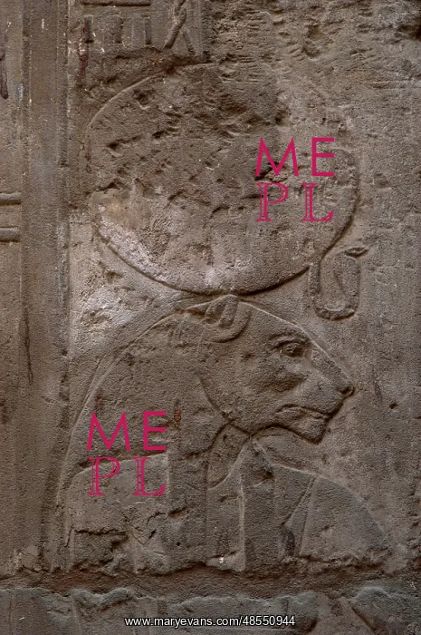 : Relief depicting Sekhmet, goddess of war : Relief depicting Sekhmet, goddess of war