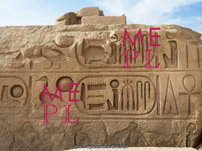 : Relief, first courtyard, Ramesseum, Theban Necropolis : Relief, first courtyard, Ramesseum, Theban Necropolis