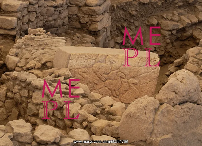 : Relief, Gobekli Tepe, Sanliurfa, Turkey : Relief, Gobekli Tepe, Sanliurfa, Turkey