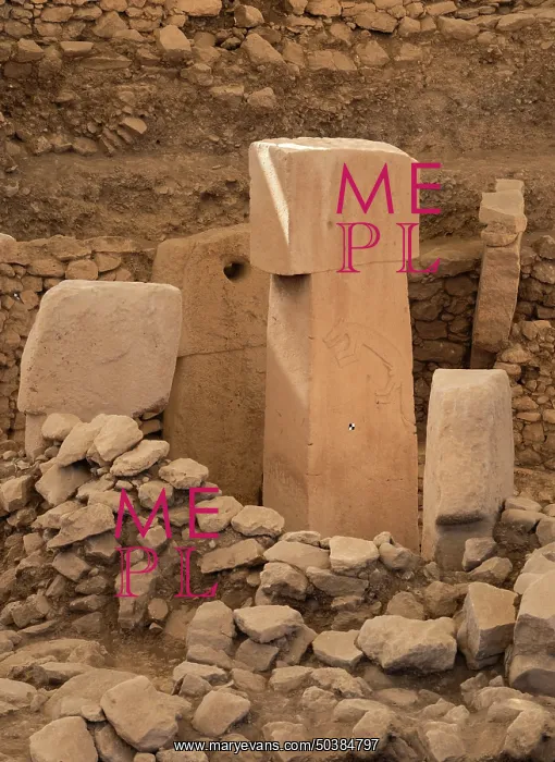  : Relief, Gobekli Tepe, Sanliurfa, Turkey