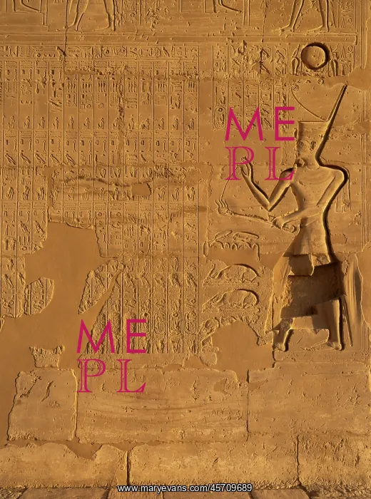 : Relief, Hall of the litanies, Ramesseum, Theban Necropolis : Relief, Hall of the litanies, Ramesseum, Theban Necropolis