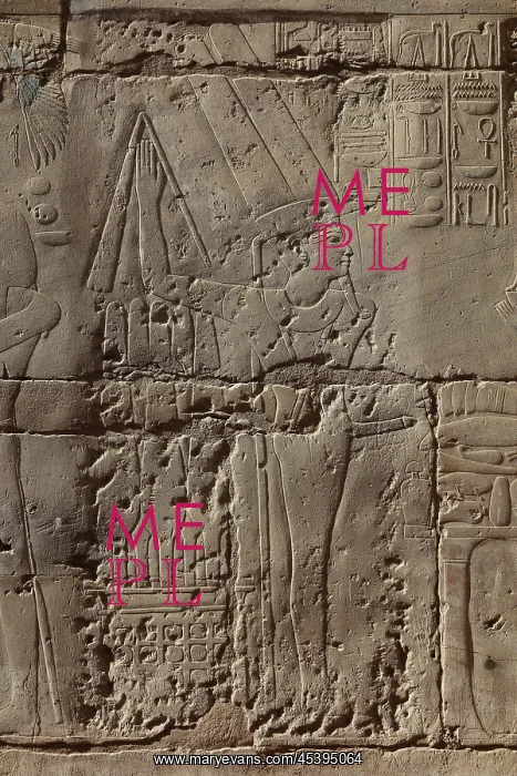 : Relief, Luxor Temple, Luxor, Egypt : Relief, Luxor Temple, Luxor, Egypt