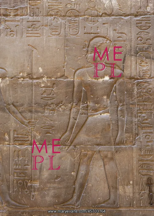 : Relief, Luxor Temple, Luxor, Egypt : Relief, Luxor Temple, Luxor, Egypt