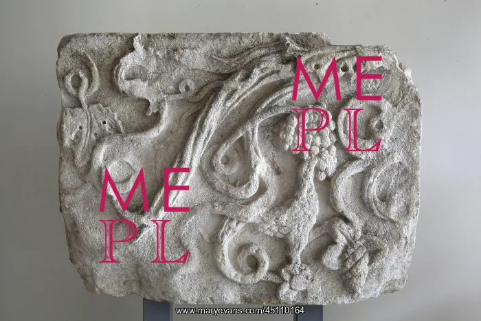 : Relief of pheasant, National Museum of Medieval : Relief of pheasant, National Museum of Medieval
