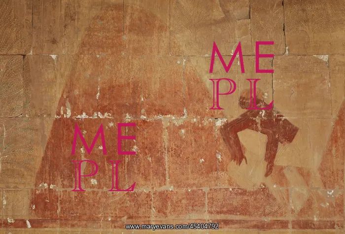 : Relief, Punt Portico, Temple of Hatshepsut : Relief, Punt Portico, Temple of Hatshepsut