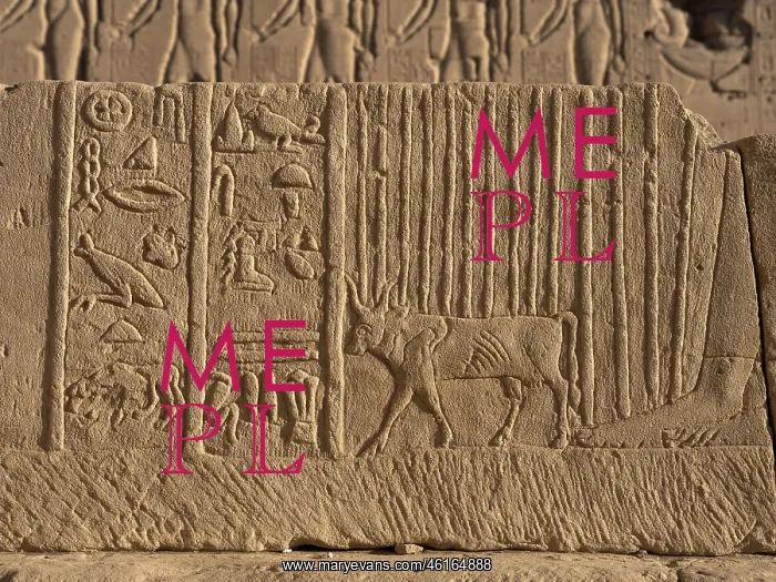 : Relief - Temple of Hathor - Dendera Complex : Relief - Temple of Hathor - Dendera Complex