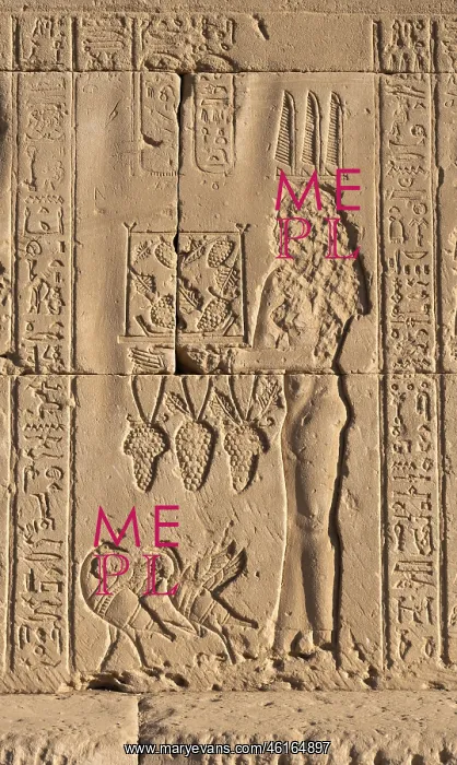: Relief - Temple of Hathor - Dendera Complex : Relief - Temple of Hathor - Dendera Complex